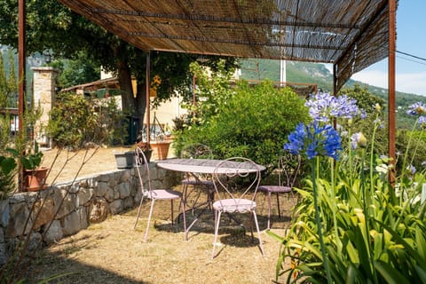 Patio, Other
