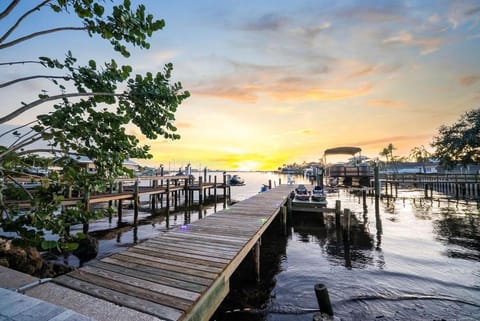 Pink Pony Villa - Waterfront Escape with Pool & Themed Rooms House in Palm Harbor