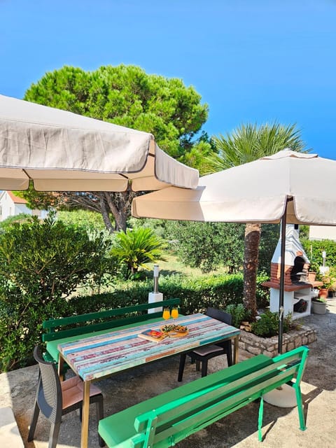 Garden, Garden view, Inner courtyard view