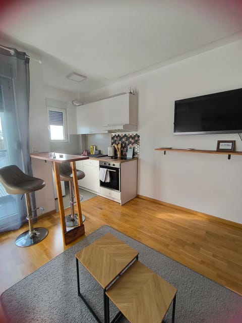 Cozy Studio Apartment in Belgrade