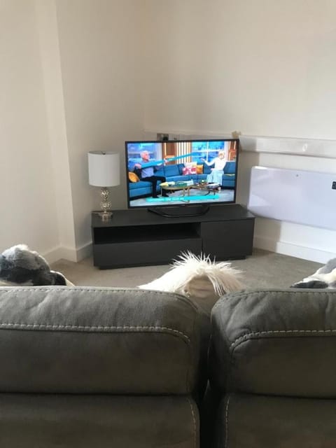 City studio Apartment Apartment in Swansea