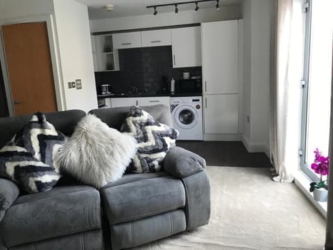City studio Apartment Apartment in Swansea