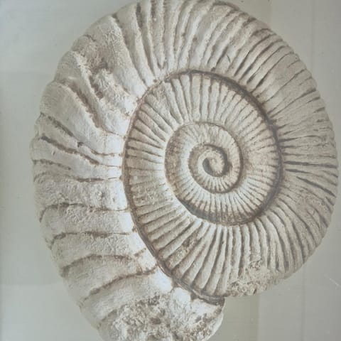 South Quay no 6 Apartment in Knysna