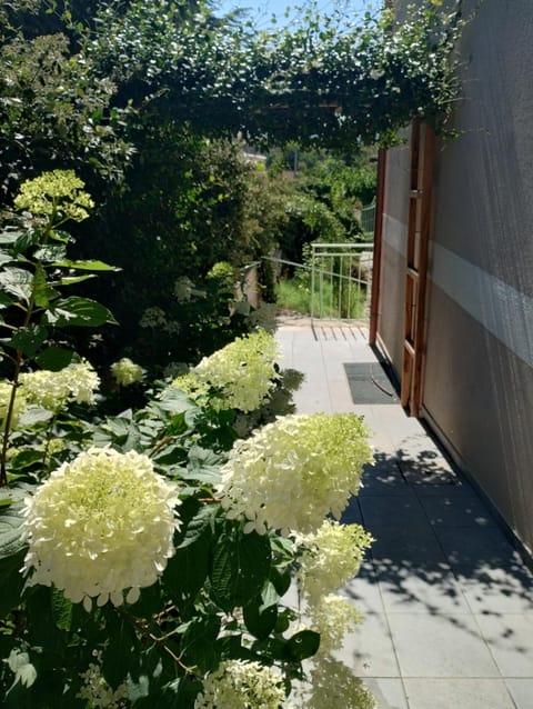 Property building, Garden view