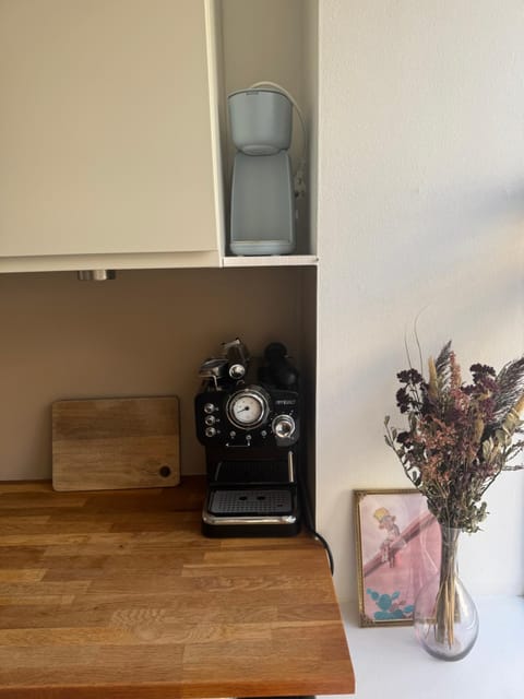 Central lejlighed med tag-terrasse Apartment in Aarhus