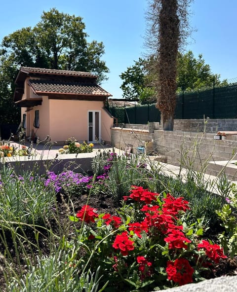 Property building, Garden