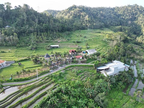 Garden view, Mountain view