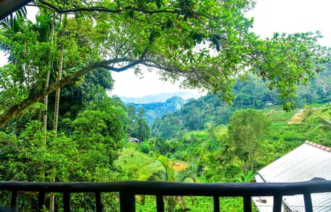 View (from property/room)