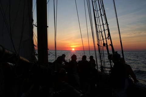 Close to South Beach and Kid's Corner - Huge Yard House in South Haven