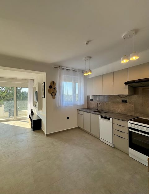 Kitchen or kitchenette, dishwasher, stove