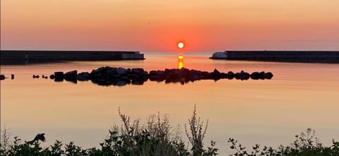 Sunrise
