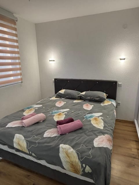 Apartman Tea Apartment in Montenegro