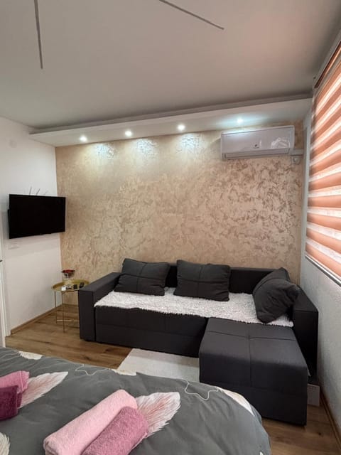 Apartman Tea Apartment in Montenegro