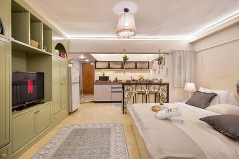 Bed, TV and multimedia, Kitchen or kitchenette, Living room, Photo of the whole room, Seating area, Bedroom, minibar, stove