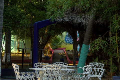 Patio, Garden, Garden view