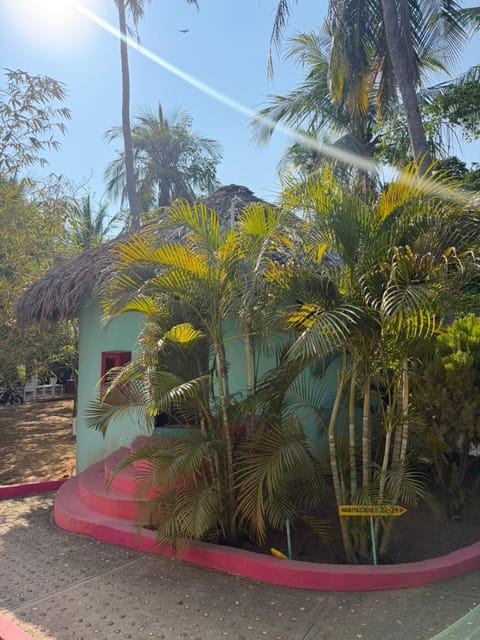 Shalom Backpacker Hostel Hostel in Puerto Escondido