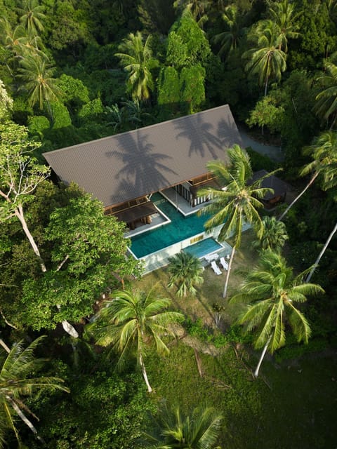 Natural landscape, Garden, Swimming pool, sunbed