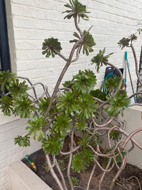 Heart of Hout Bay, Apartment Apartment in Cape Town