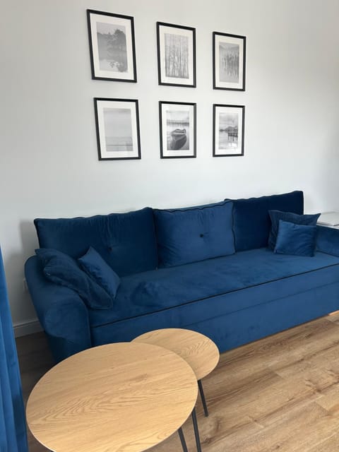 Apartament Parkowa-prywatny parking Apartment in Lithuania