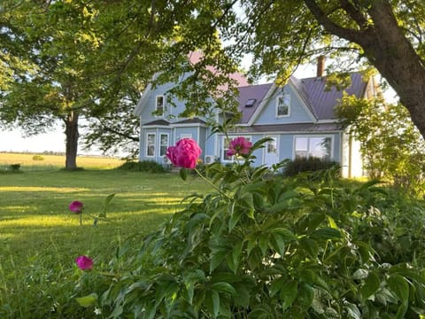 Property building, Spring, Day, Natural landscape, Garden, Garden view