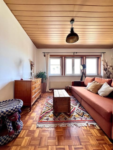 Cosy haven in Aalst with terrace a green haven Apartment in Flanders