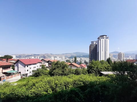 View (from property/room)