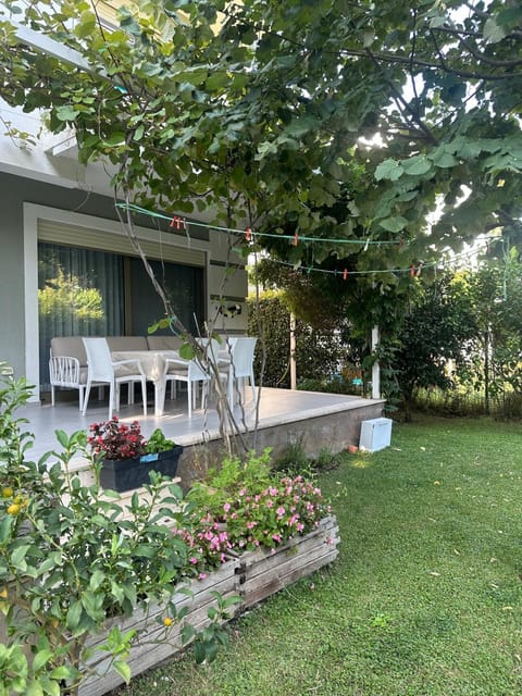Patio, Garden, Garden view