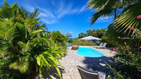 Garden, Pool view, Swimming pool, sunbed