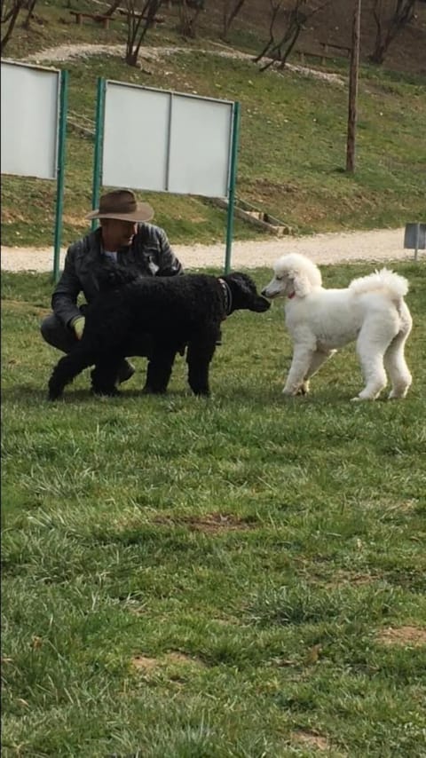 Apartment Red House Apartment in Federation of Bosnia and Herzegovina