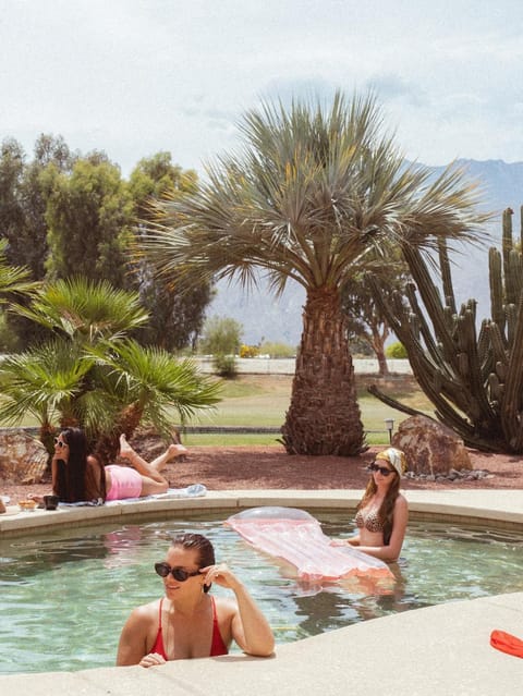 Guests, Swimming pool, group of guests, sunbed