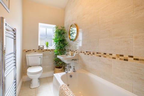 Shower, Toilet, Bathroom, Bath, towels