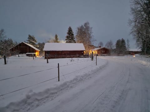 Natural landscape, Winter