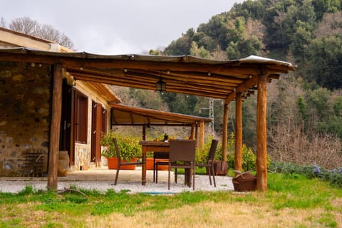 Property building, Day, Natural landscape, Garden, Dining area, Garden view