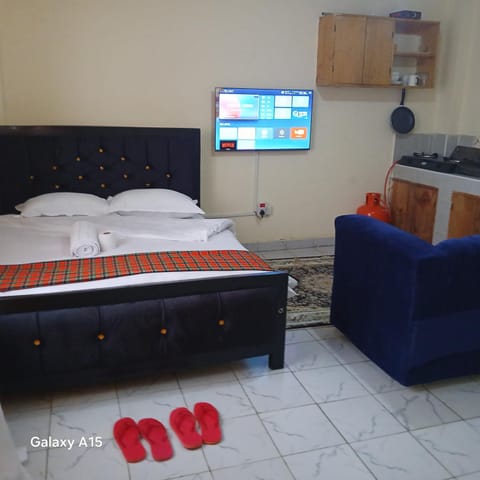 Bed, TV and multimedia, Kitchen or kitchenette, Photo of the whole room, Bedroom, towels