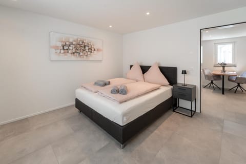 Elegante Wohnung, zentral gelegen! Apartment in Winterthur