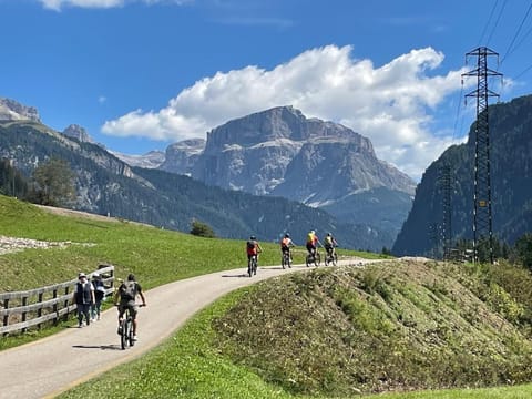 Natural landscape, Cycling, Mountain view, group of guests
