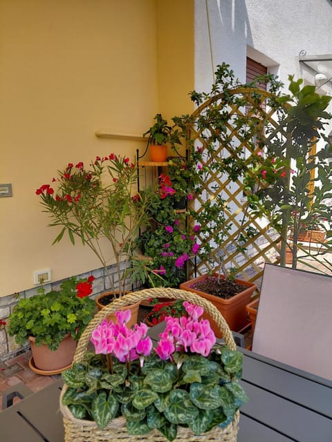 Patio, Facade/entrance