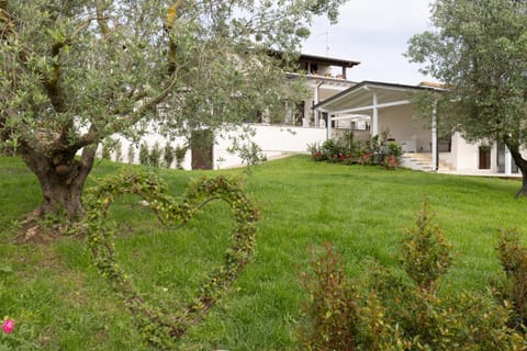 Natural landscape, Garden, Garden