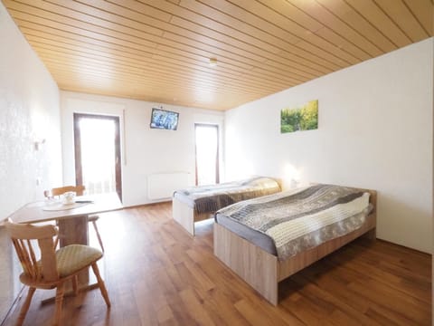Bed, TV and multimedia, Living room, Photo of the whole room, Seating area, Bedroom