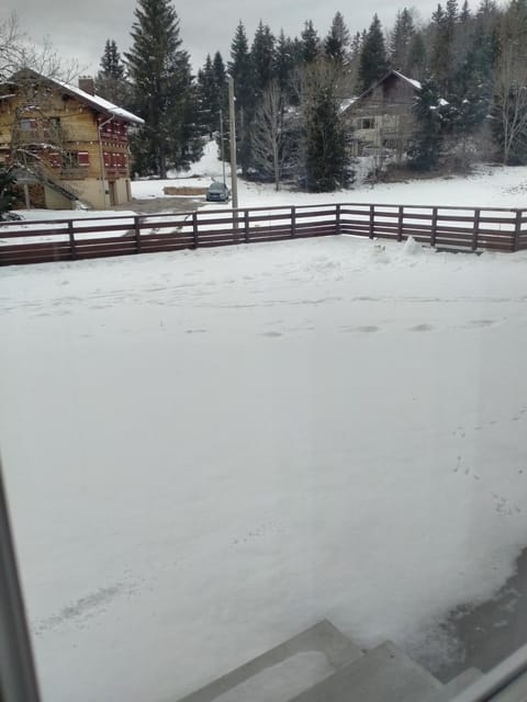 Studio Apartment in Canton of Vaud