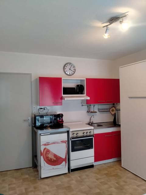 Studio Apartment in Canton of Vaud