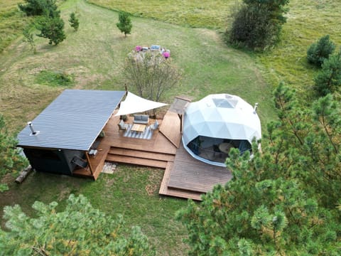 Day, Garden, Garden view