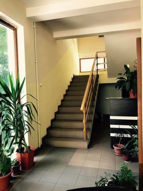 Pinul Negru Bed and Breakfast in Serbia