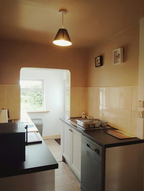 Kitchen or kitchenette, dishwasher, stove