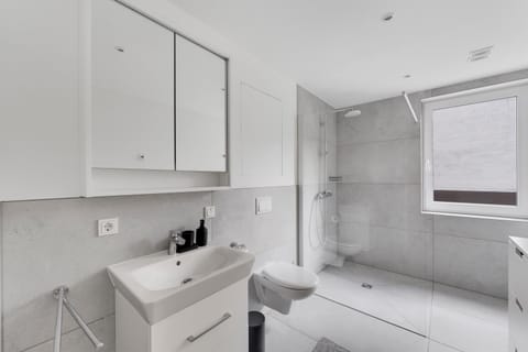 Shower, Bathroom, hair dryier, acessibility