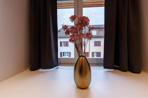 Authentische Wohnung an Top-Lage! Apartment in Winterthur