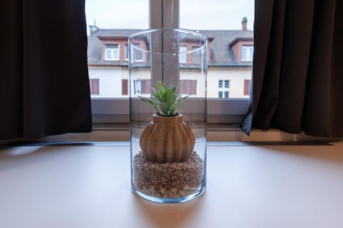 Authentische Wohnung an Top-Lage! Apartment in Winterthur