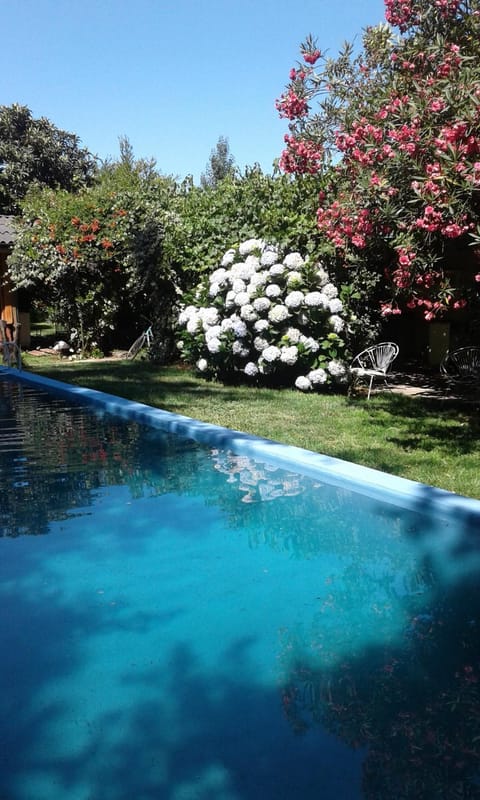 Garden, Garden view, Pool view