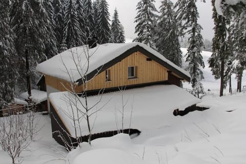 Property building, Winter