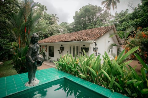 Natural landscape, Garden, Garden view, Pool view, Swimming pool